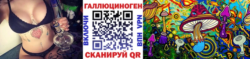 Псилоцибиновые грибы Psilocybine cubensis  Новоалександровск 